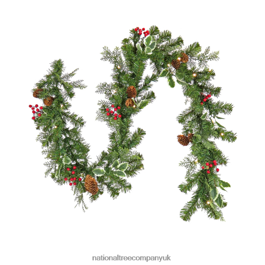 Greenery | National Tree Company First Traditions 6 ft Christmas Joy Pre-Lit Garland F2L4F339